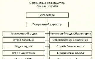 Organizational management structures of commercial enterprises in Russia