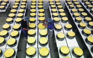 Technology for the production of cheese "Russian