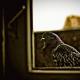 Eine verwundete Taube ist ein Zeichen.  Die Taube berührte den Flügel.  Die Taube saß auf der Fensterbank - wofür ist sie?