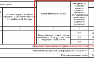 Instructions: how to fill out a procurement plan