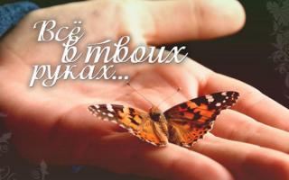 Gleichnis vom Schmetterling: Alles liegt in deiner Hand Gleichnis vom Schmetterling: Alles liegt in deiner Hand