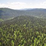Lezione-presentazione dei progetti “Territorio dell'Altai - la regione delle aree protette Presentazione della Riserva Naturale Statale dell'Altai