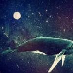 Whale tattoo: the image and meaning of a sea giant in tattoo designs
